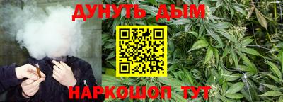 jwh Малоярославец